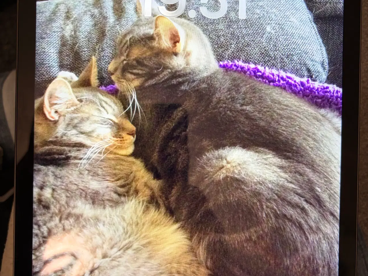 Billede 1 - Ipad (9 gen) 256 gb