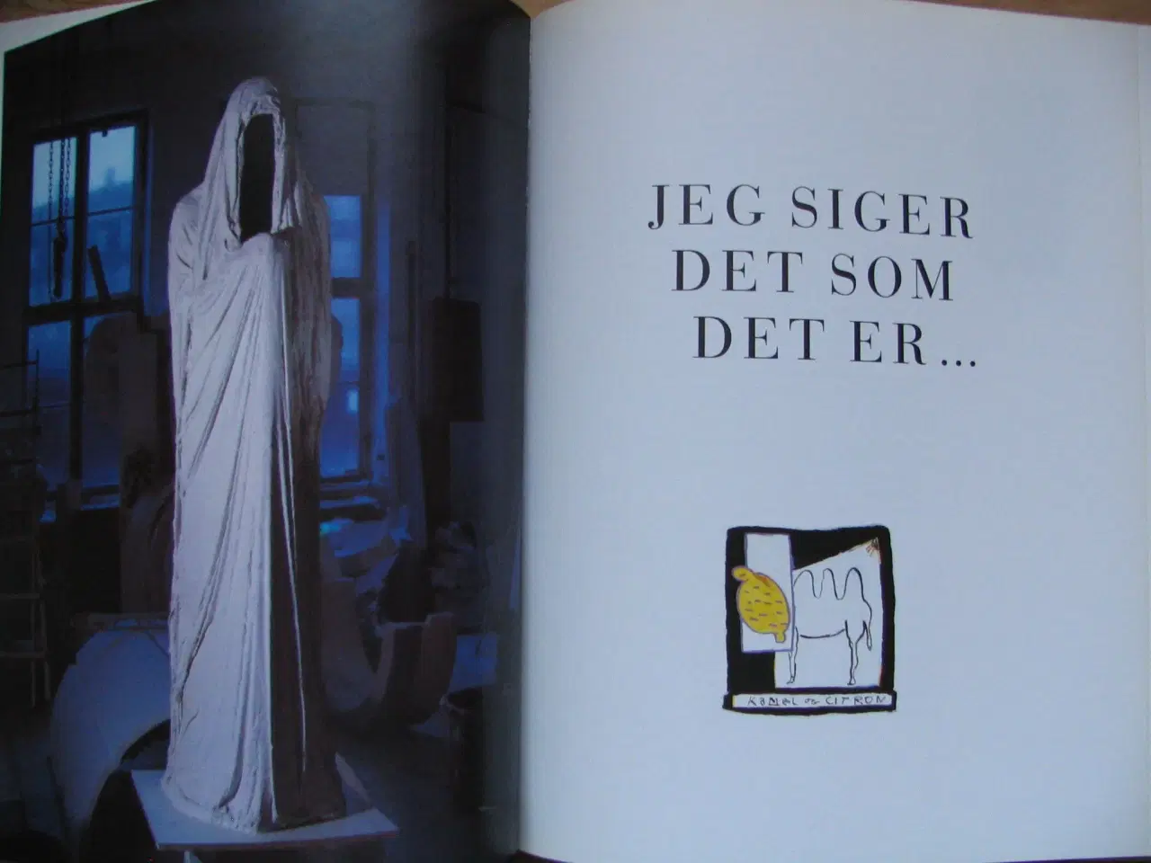 Billede 5 - 80-90 Nordisk antologi