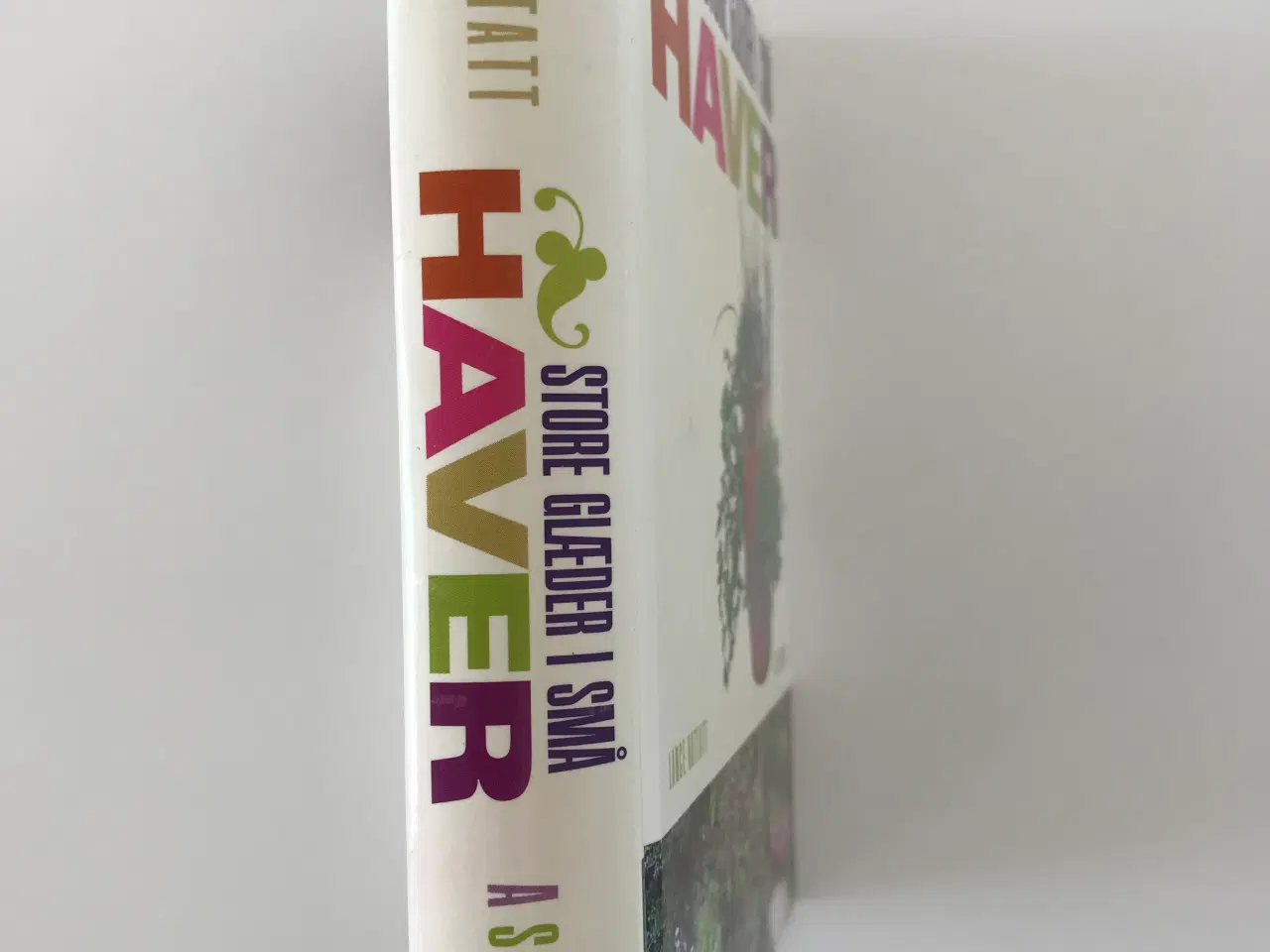 Billede 2 - Haver