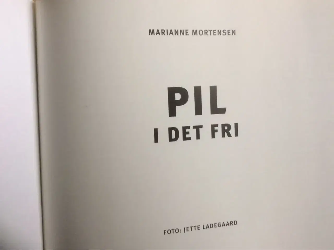 Billede 3 - Pil I Det Fri