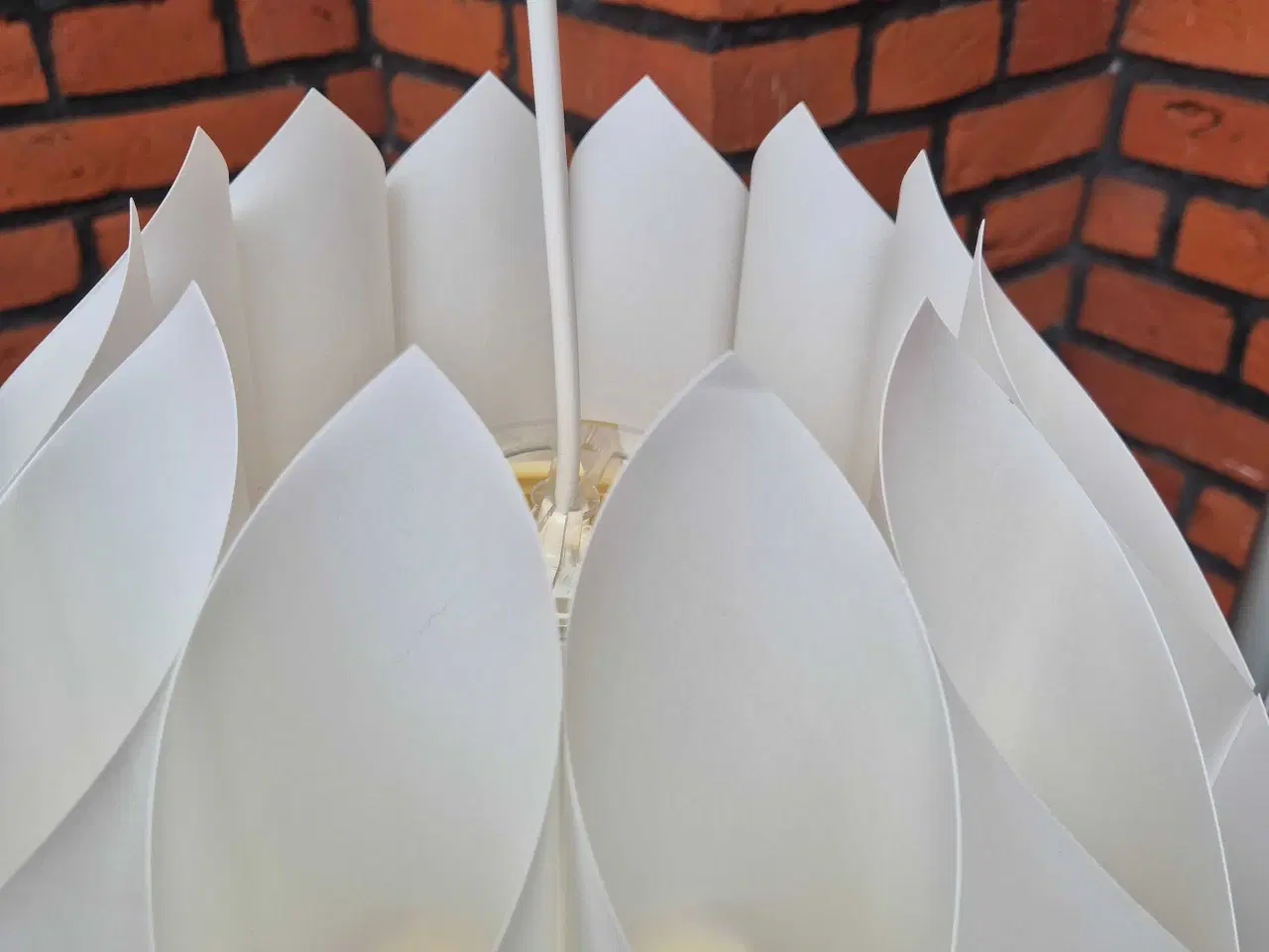 Billede 16 - Velholdte og smukke hvide Butterfly 