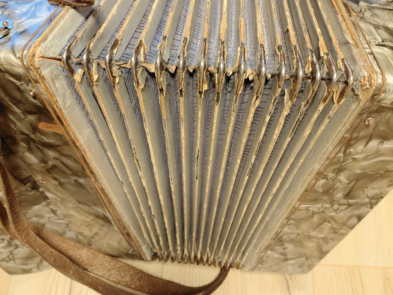 Billede 3 - Harmonika ASTRORIA