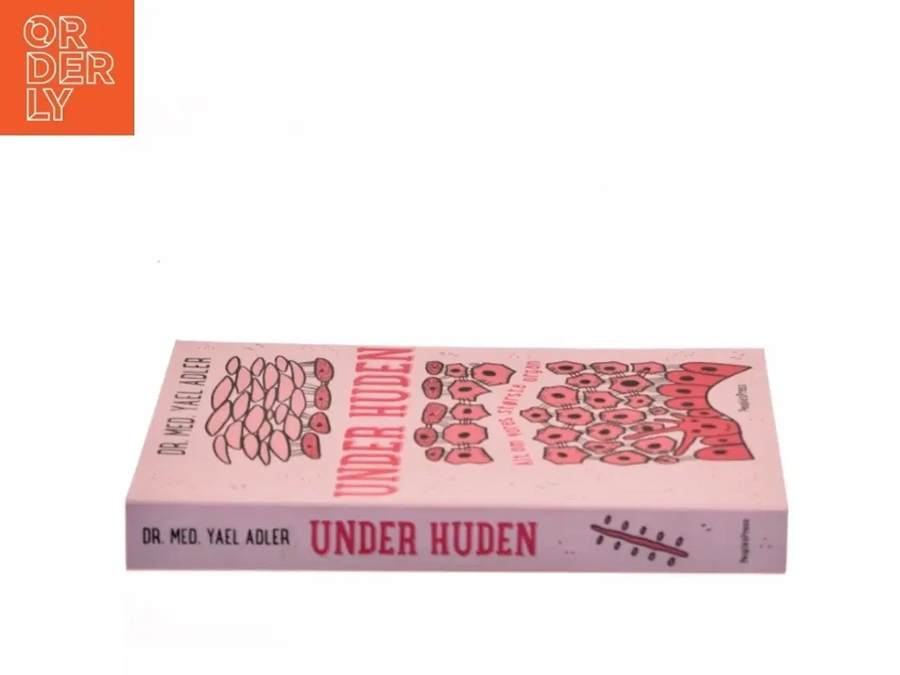 Billede 2 - Under huden : alt om vores største organ af Yael Adler (f. 1973) (Bog)