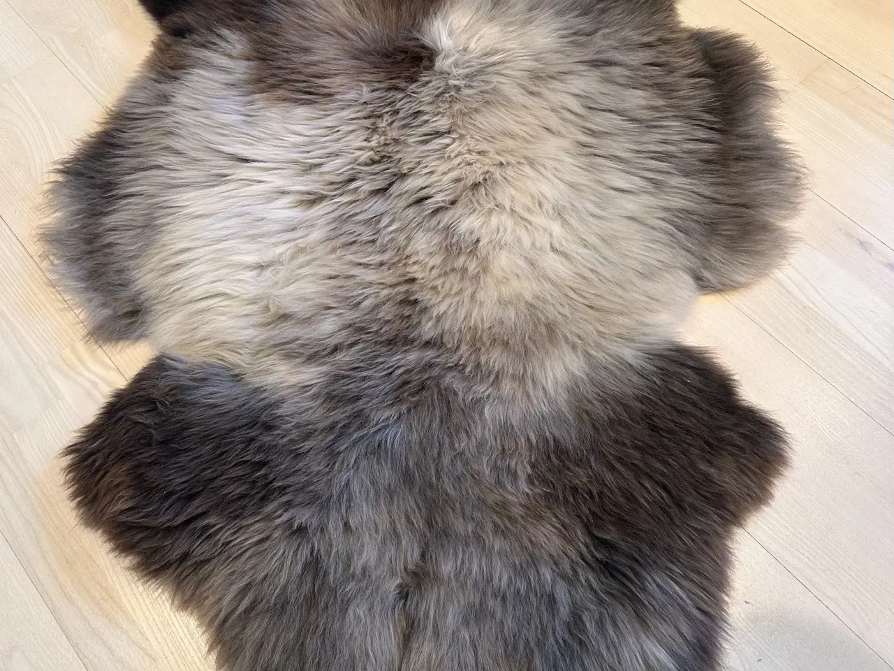 Billede 3 - Helt nyt lammeskind 