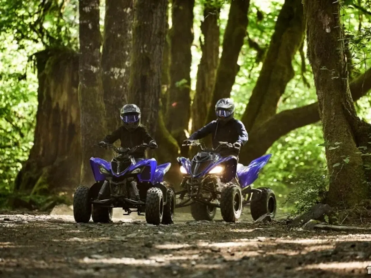 Billede 3 - Yamaha YFM 110 R