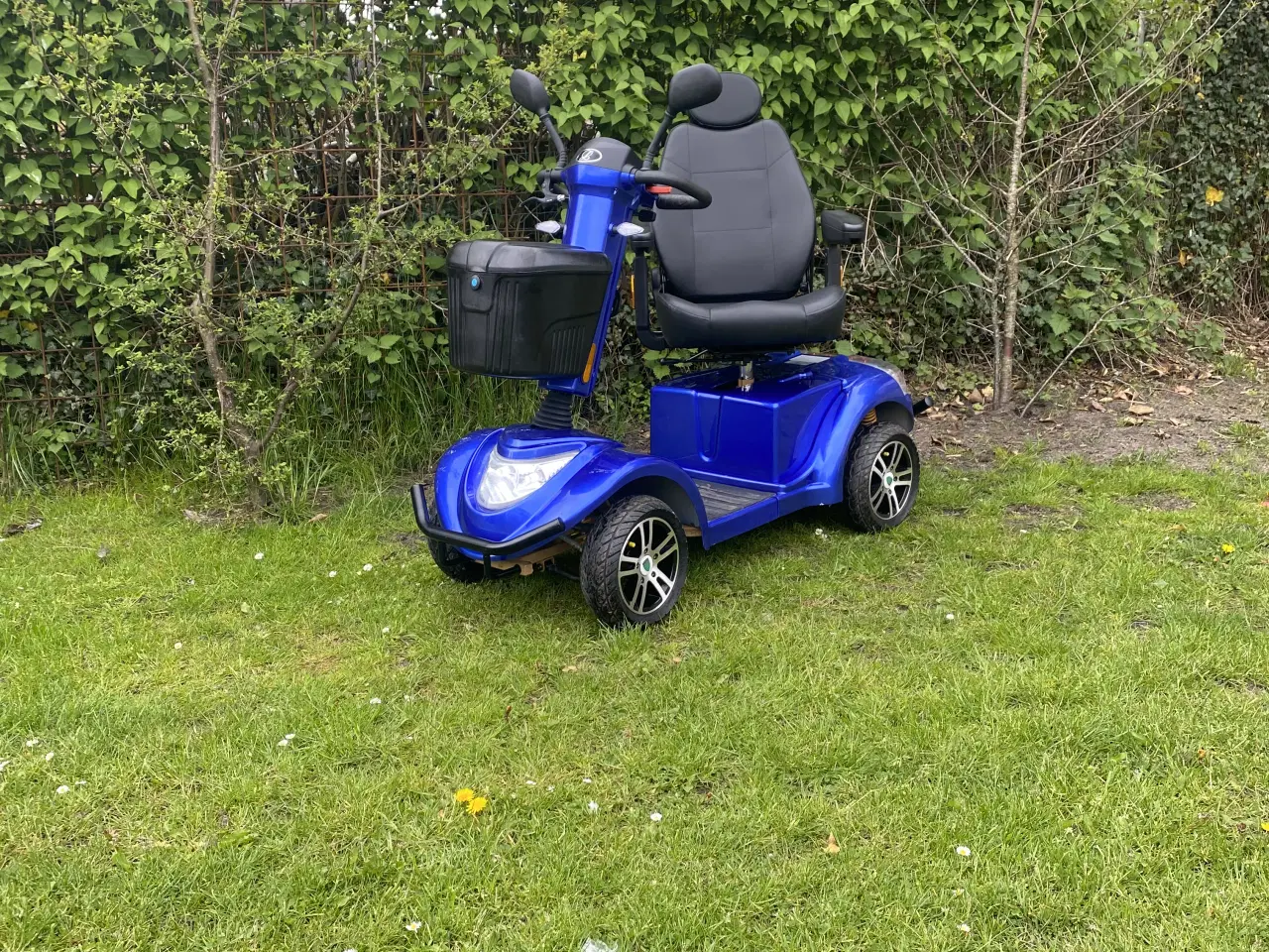 Billede 1 - Linebjerg lm 600