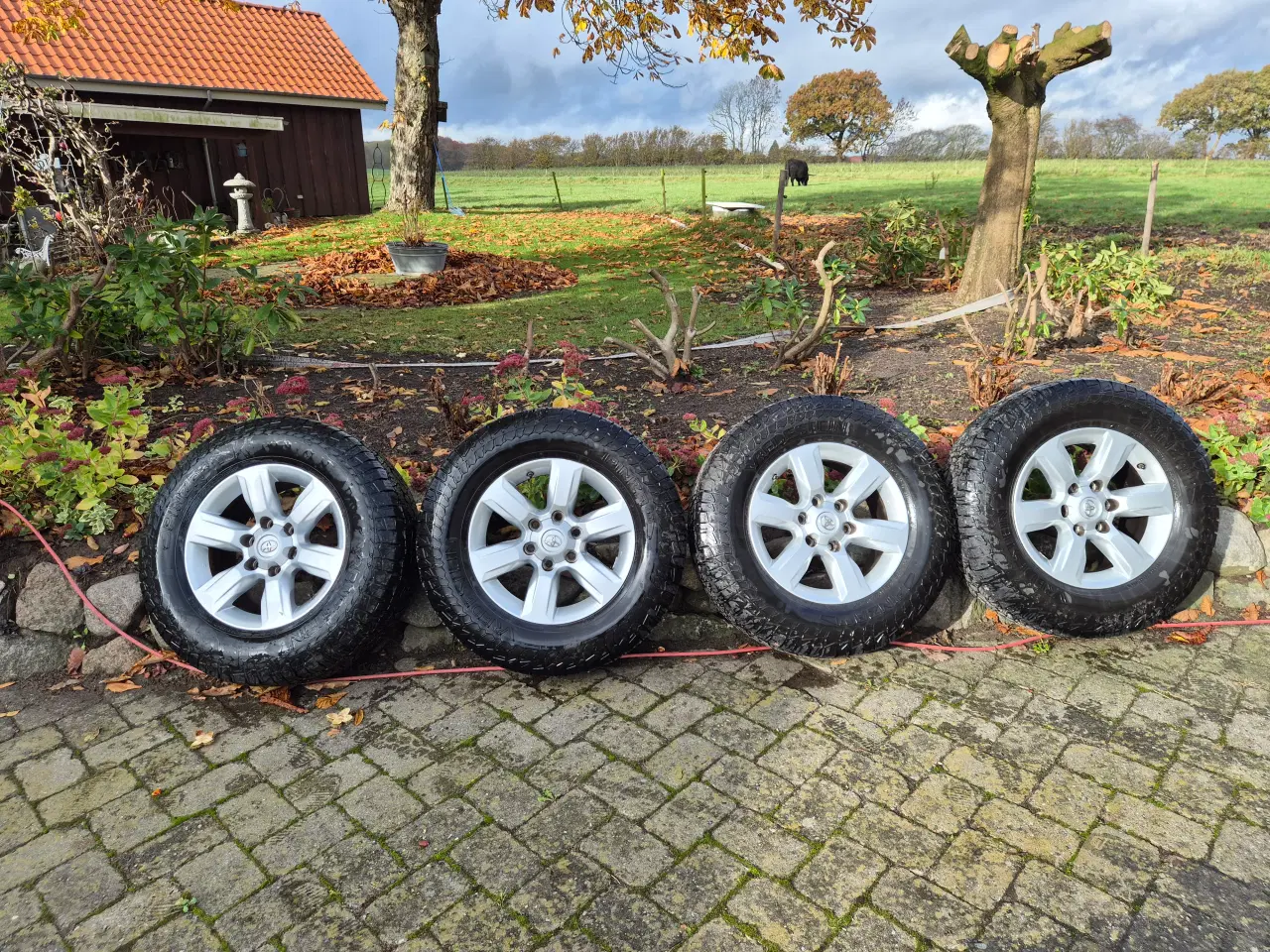 Billede 2 - Alufælge med vinterdæk til Landcruiser 150