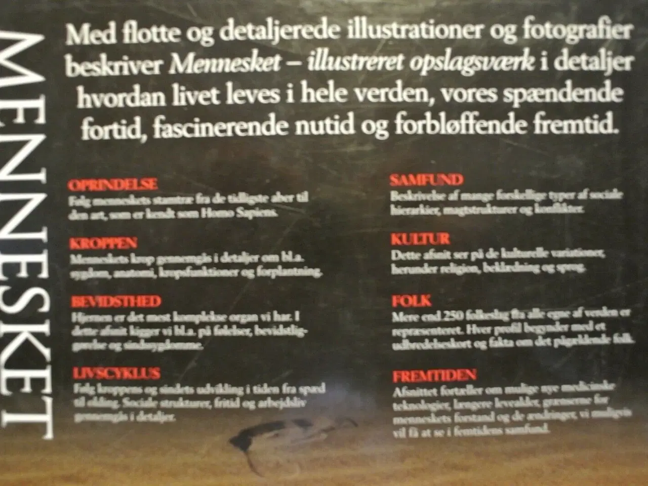 Billede 3 - mennesket - illustreret opslagsværk, red. af elin 