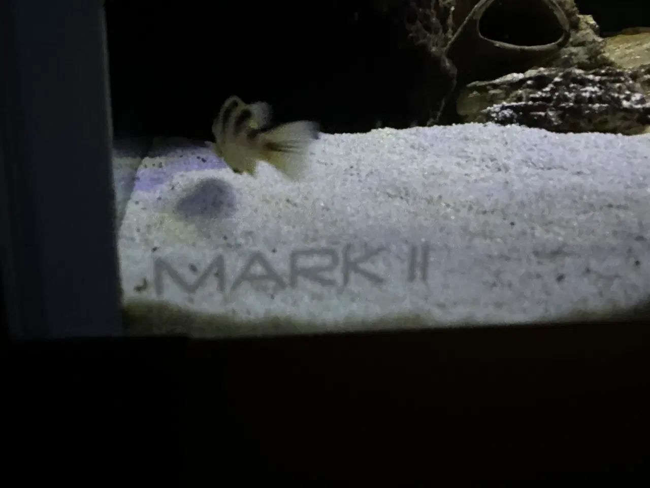 Billede 8 - 720 l akvarium