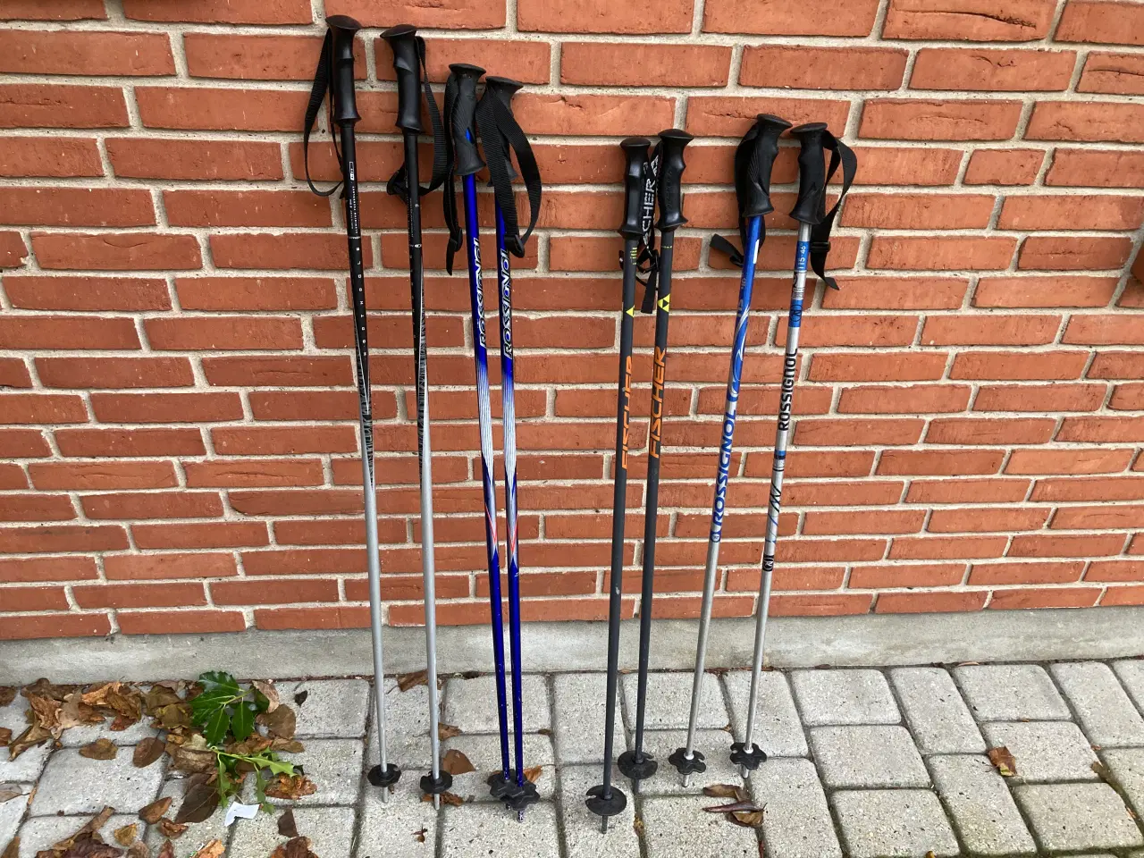 Billede 2 - SALOMON, ROSSIGNOL & HEAD skistave