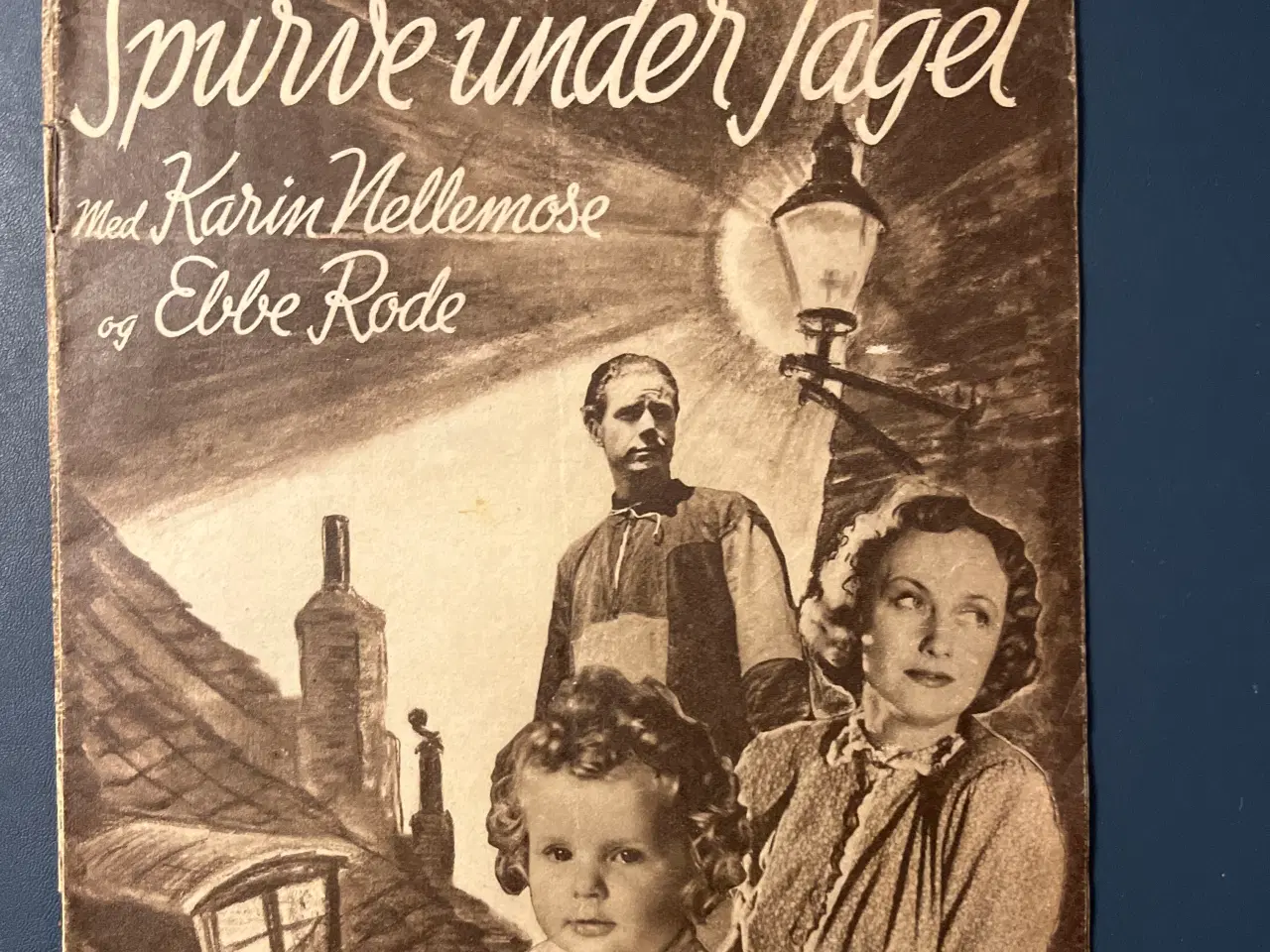 Billede 1 - Spurve under taget