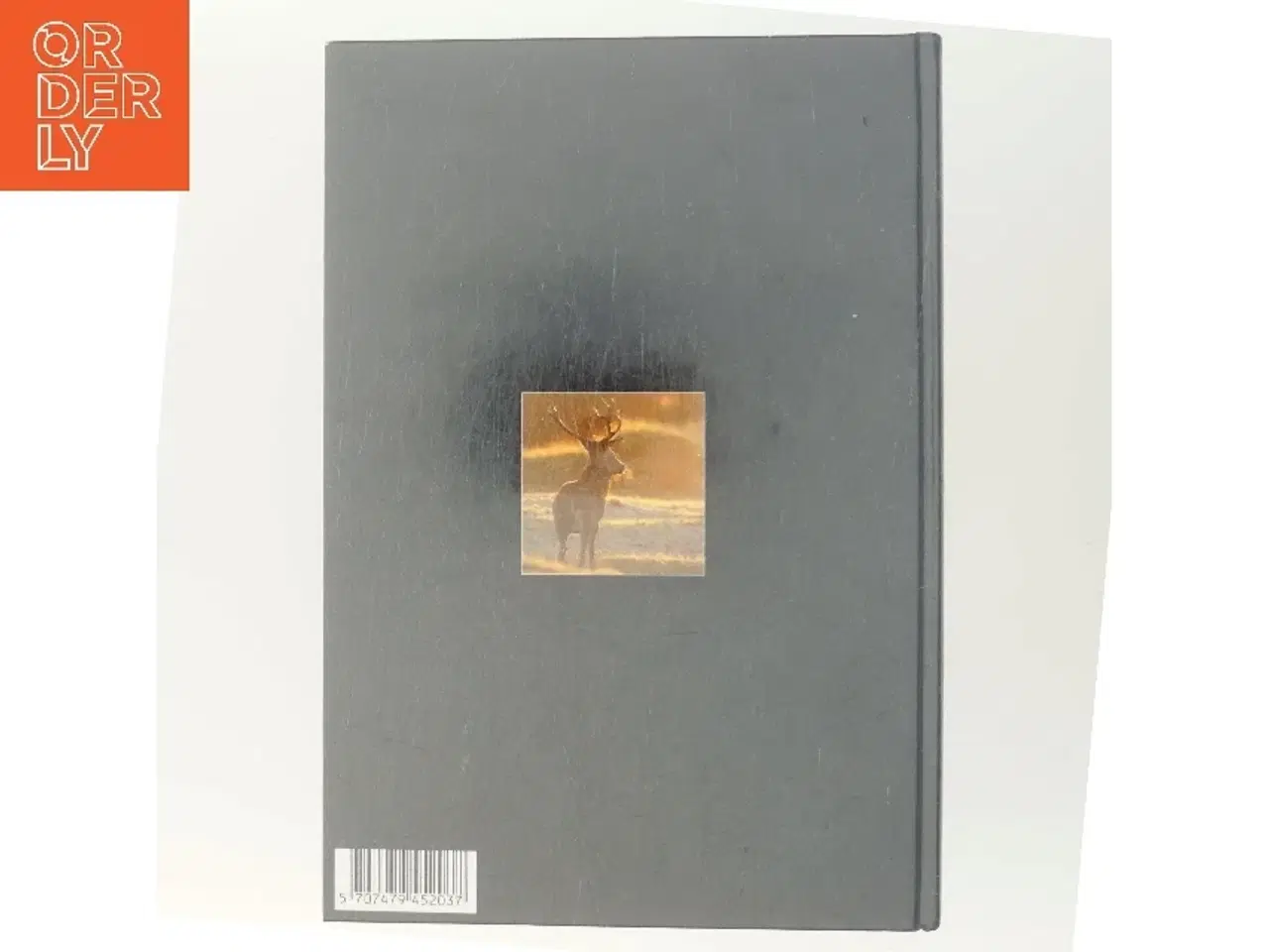 Billede 3 - Jagtårbog af Michael Sand (Bog)