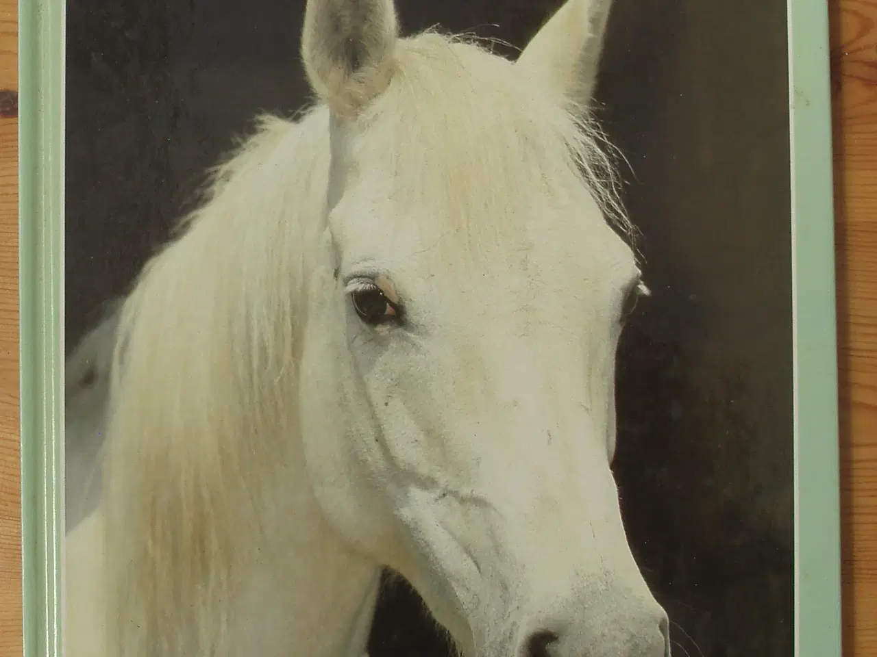 Billede 1 - Horses af Jane Burton