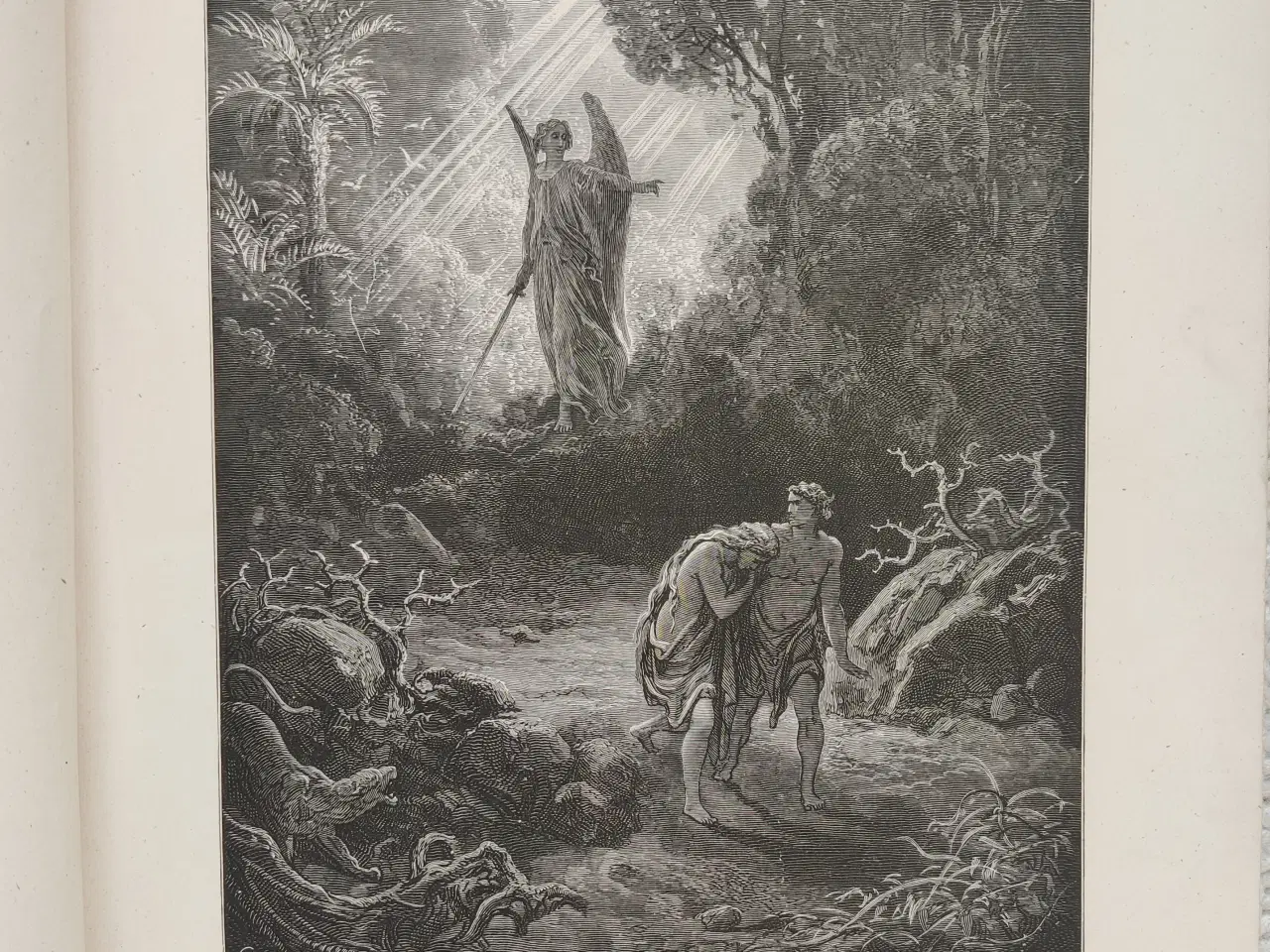 Billede 2 - Bibelen i billeder 1878, Gustave Doré