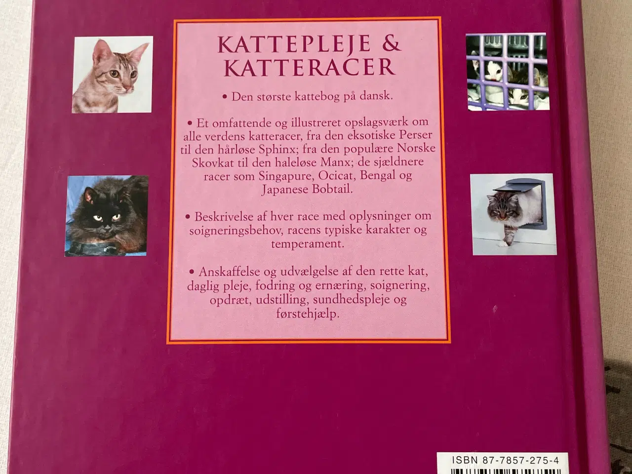 Billede 7 - Bog Kattepleje og katteracer 