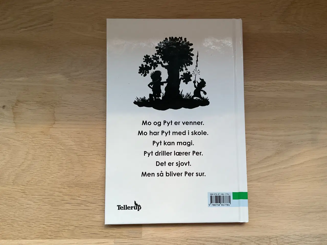 Billede 3 - Mo og Pyt i skole