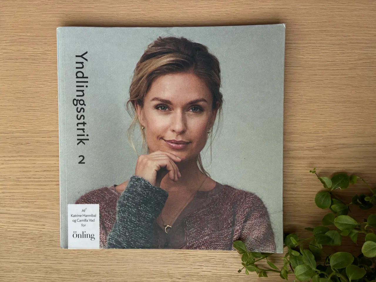 Billede 1 - Yndlingsstrik 2 - Katrine Hannibal og Camilla Vad