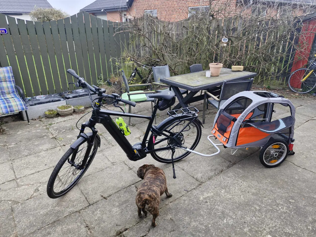 Billede 5 - Cykeltrailer anhænger til hund