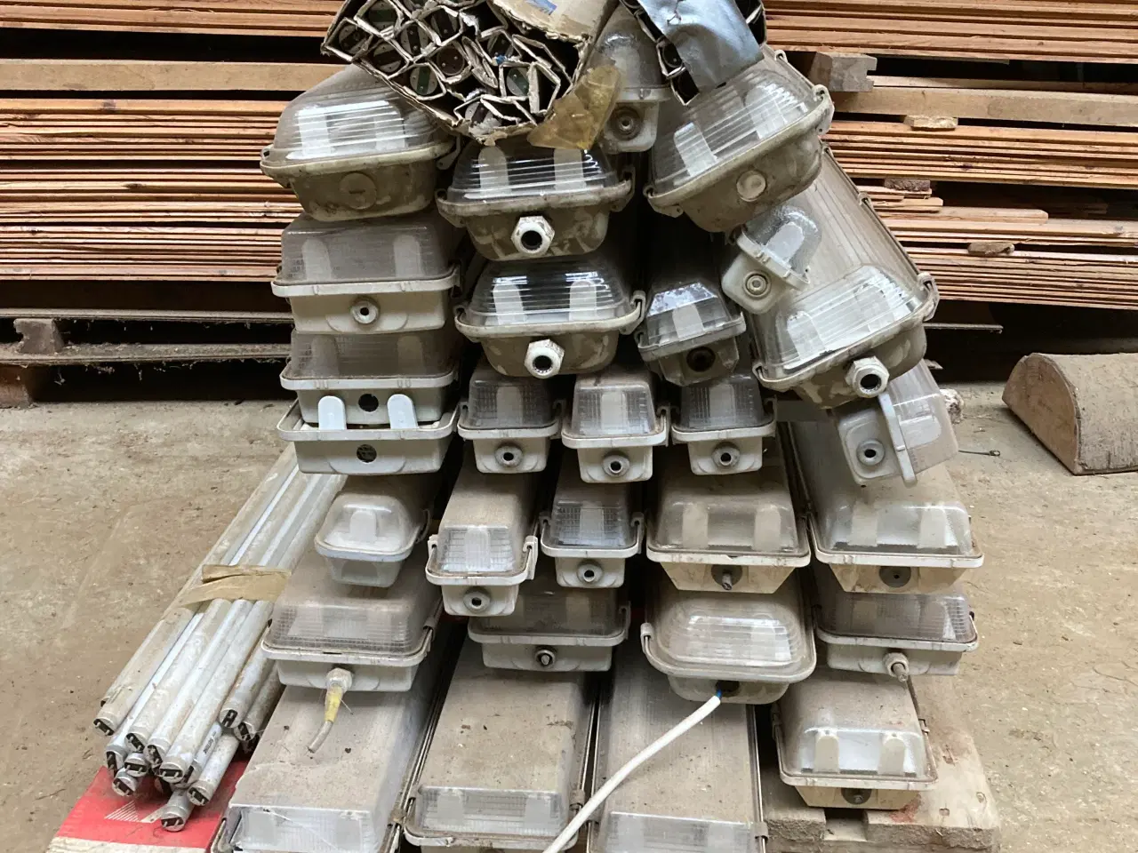 Billede 3 - Lysamatur