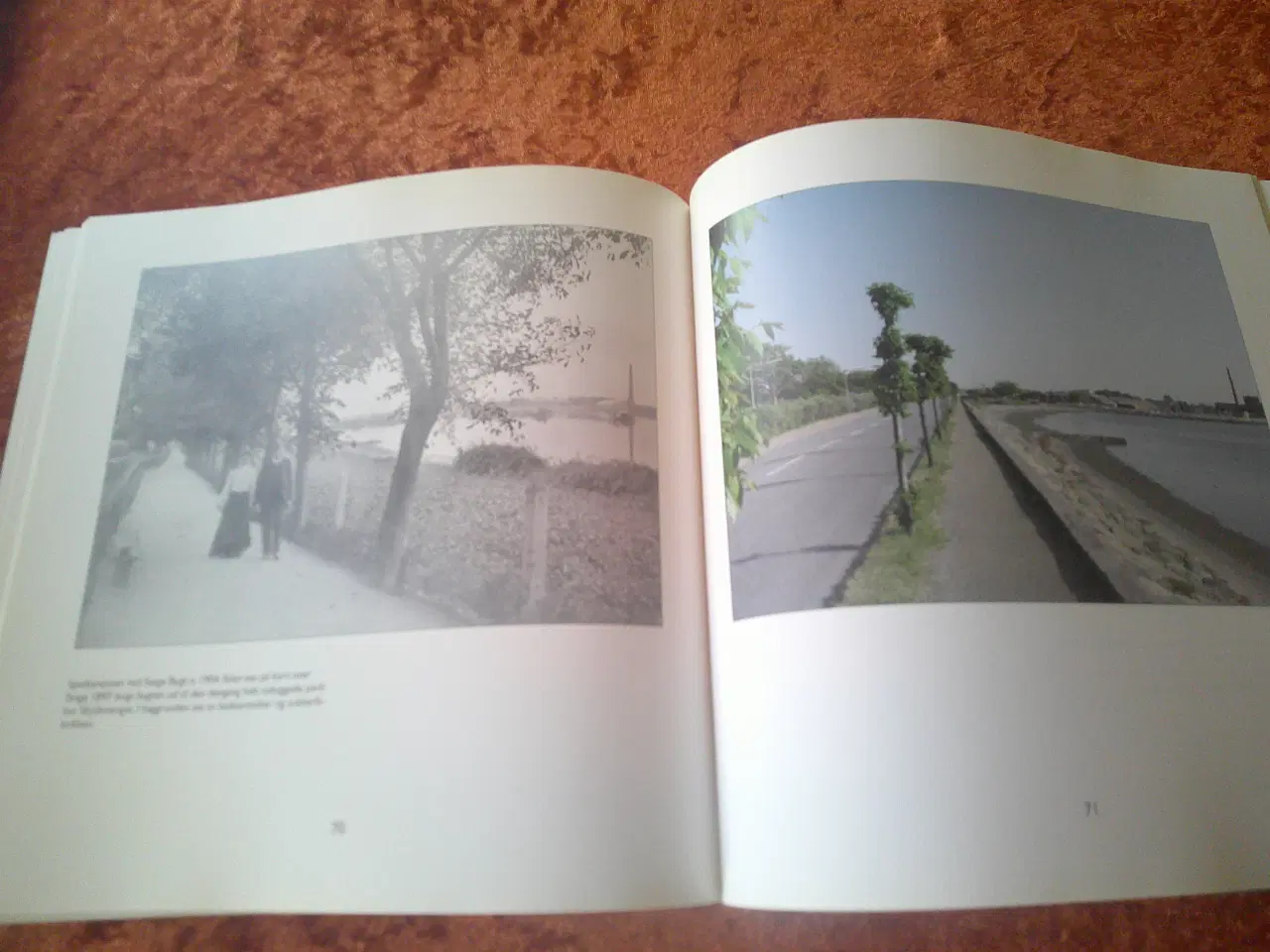 Billede 5 - Stegebilleder, Marianne Rimmen Raasted m. fl