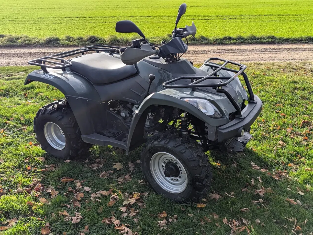 Billede 1 - Linhai 260 2x4 ATV