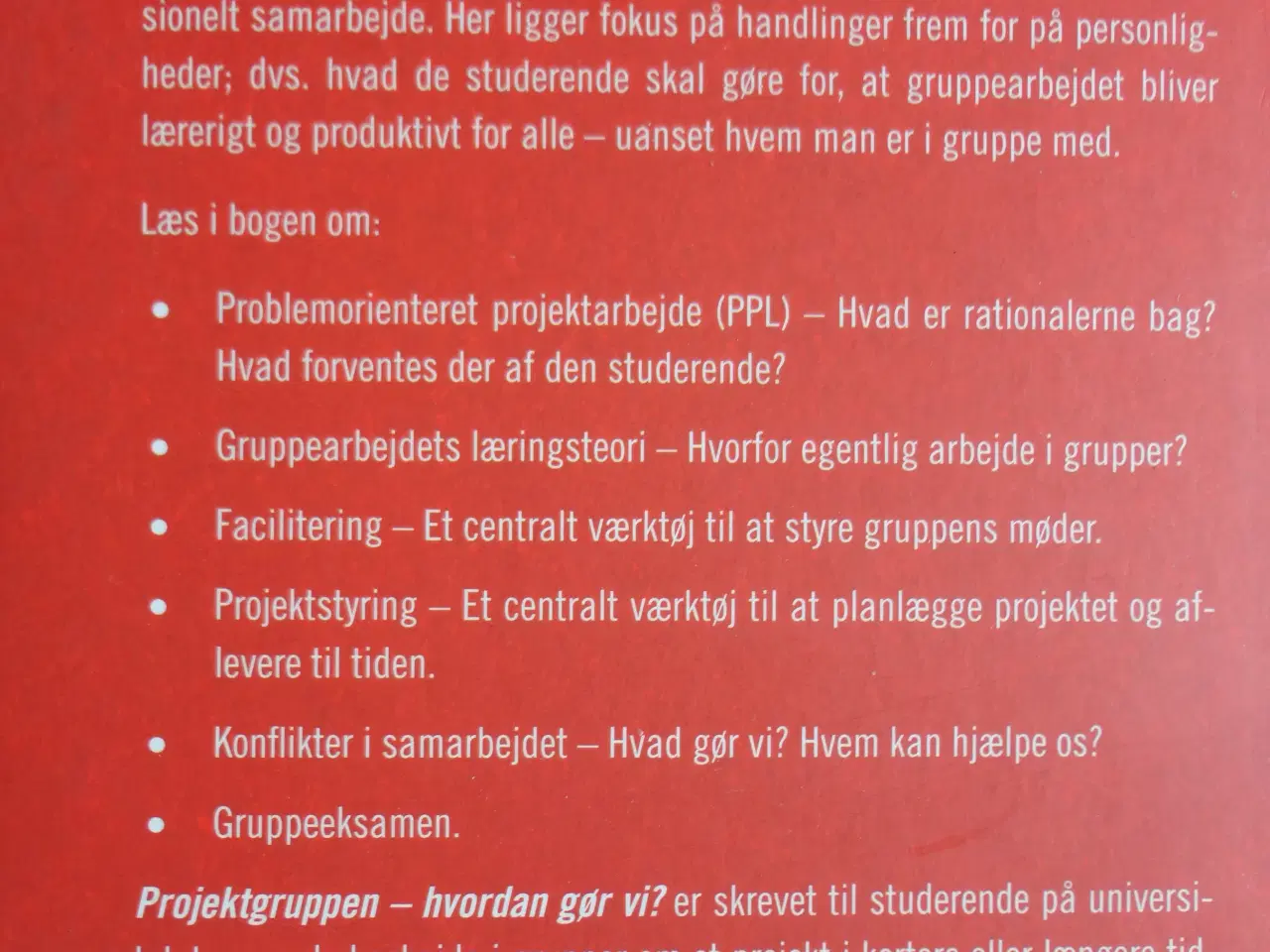 Billede 5 - Projektgruppen - hvordan gør vi ?