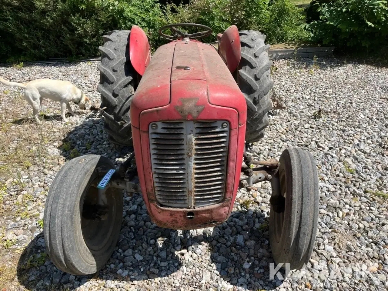 Billede 6 - Veterantraktor Massey Ferguson 35