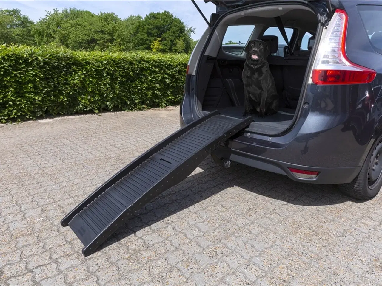 Billede 2 - Foldbar hunderampe til bil RAZE