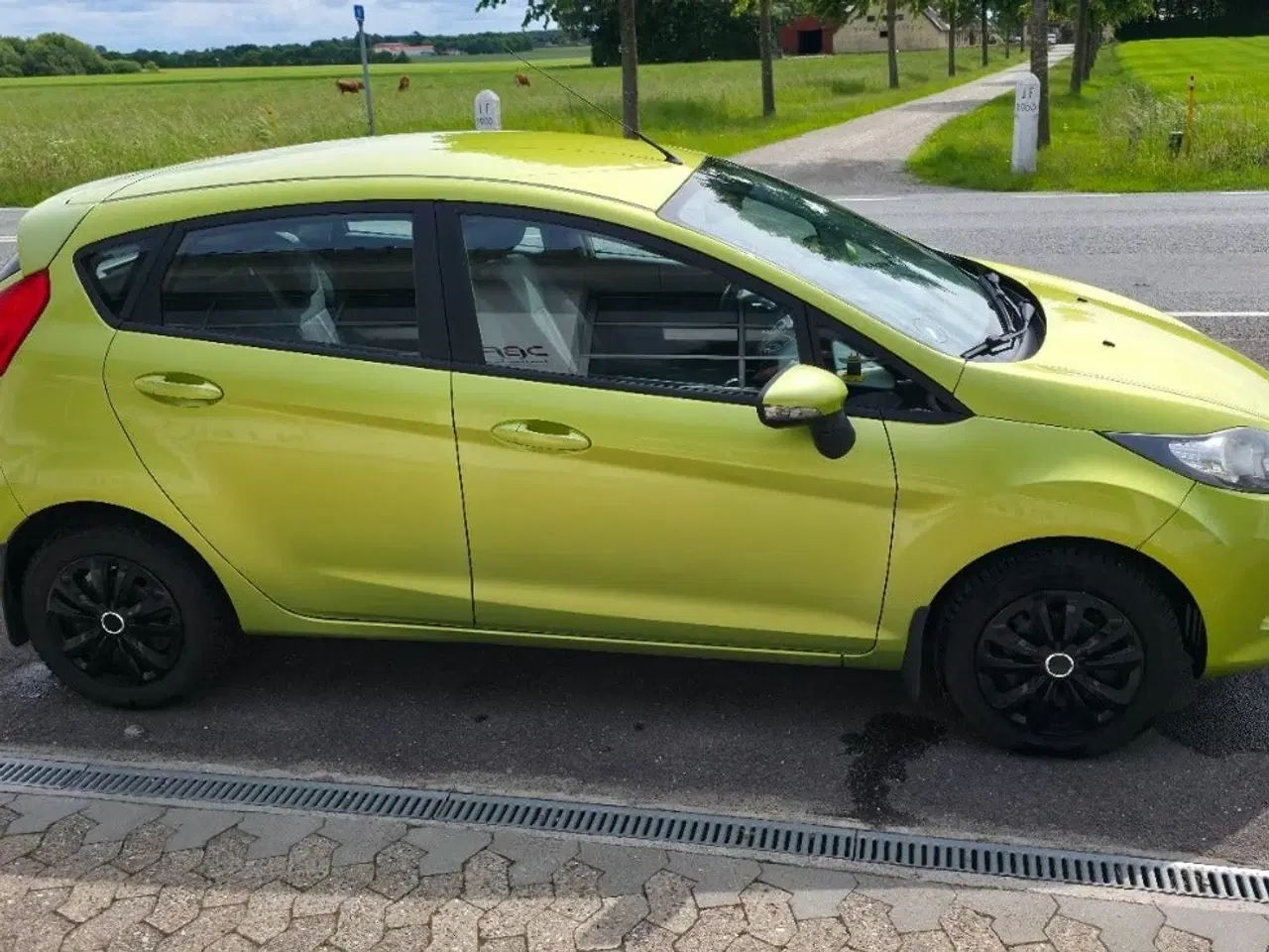Billede 7 - Ford Fiesta 1,25 82 Trend