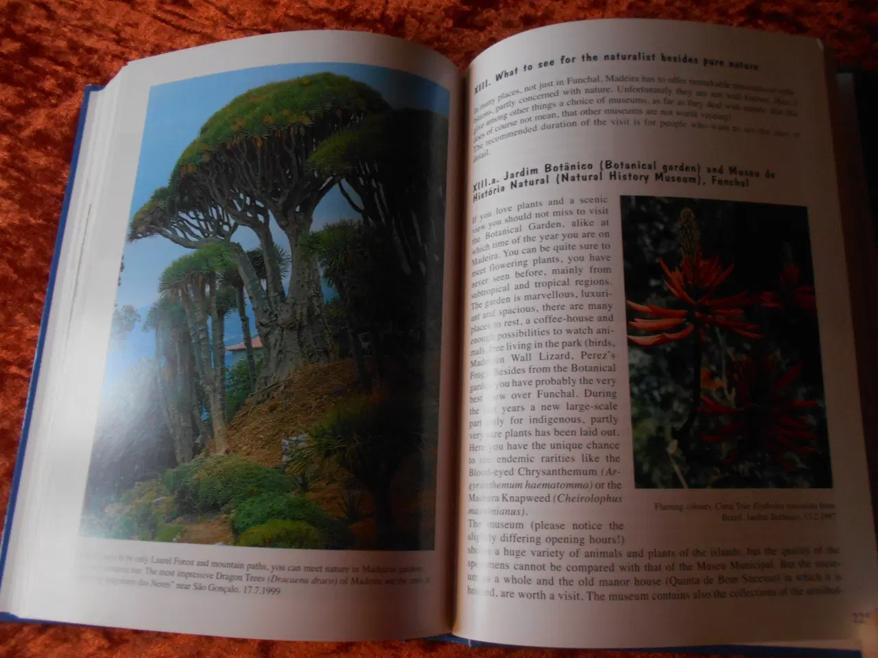 Billede 2 - Madeira's Natural History in a Nutshell,