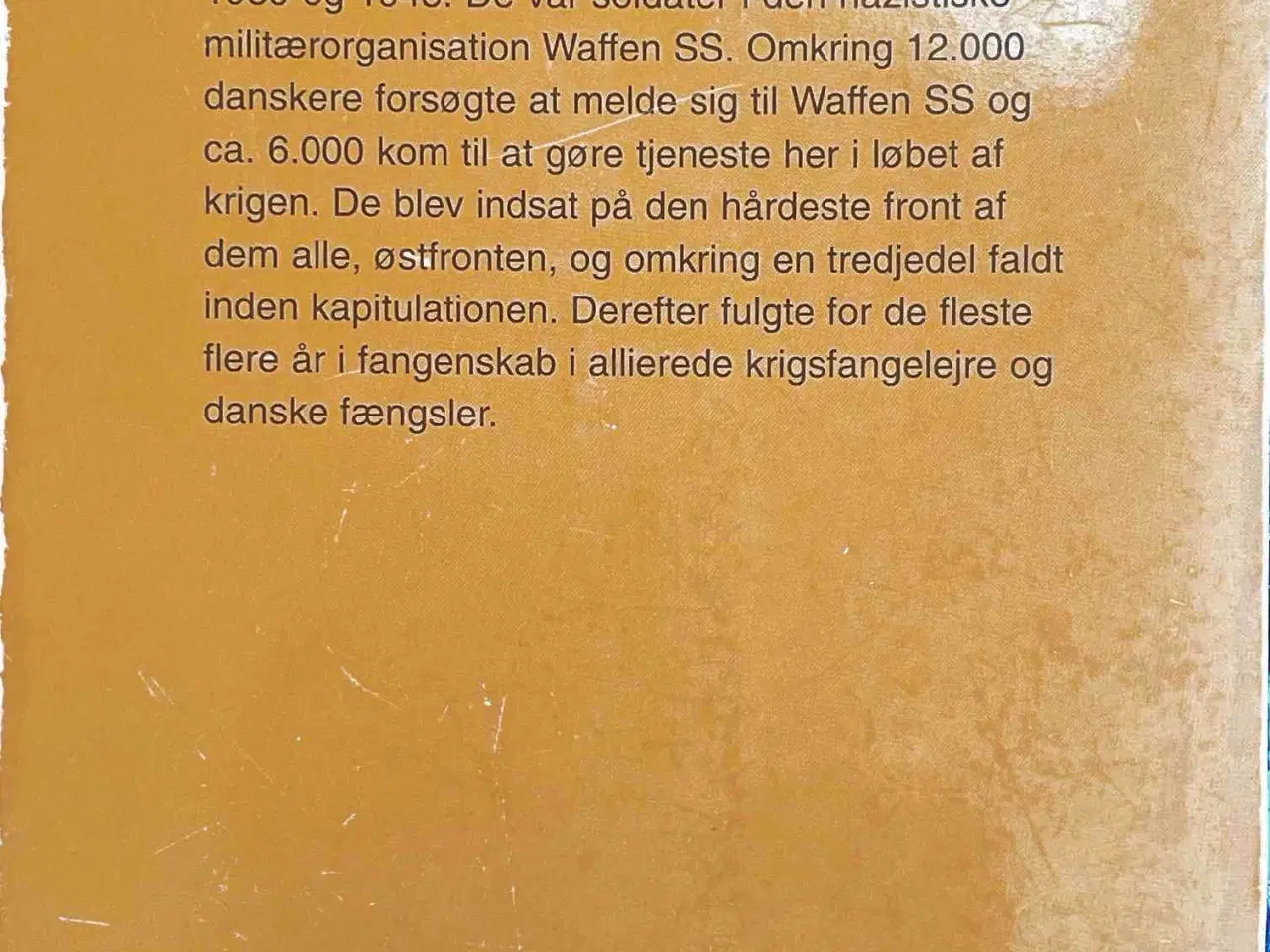 Billede 7 - Under hagekors og Dannebrog/ Danskere i Waffen SS