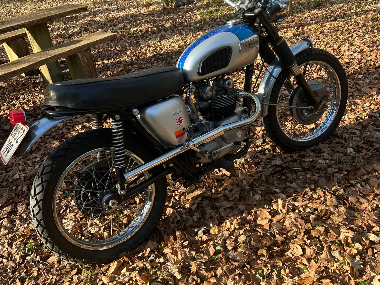 Billede 2 - Triumph 