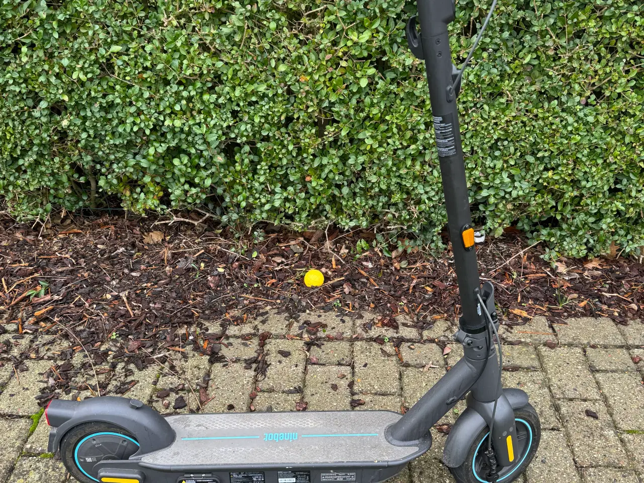 Billede 2 - Ninebot g30d2 Max Elektrisk løbehjul