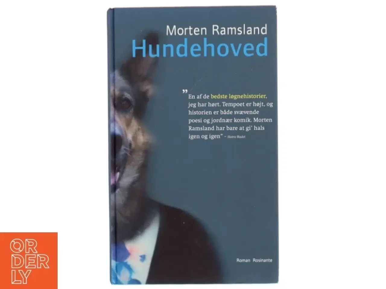 Billede 1 - Hundehoved af Morten Ramsland