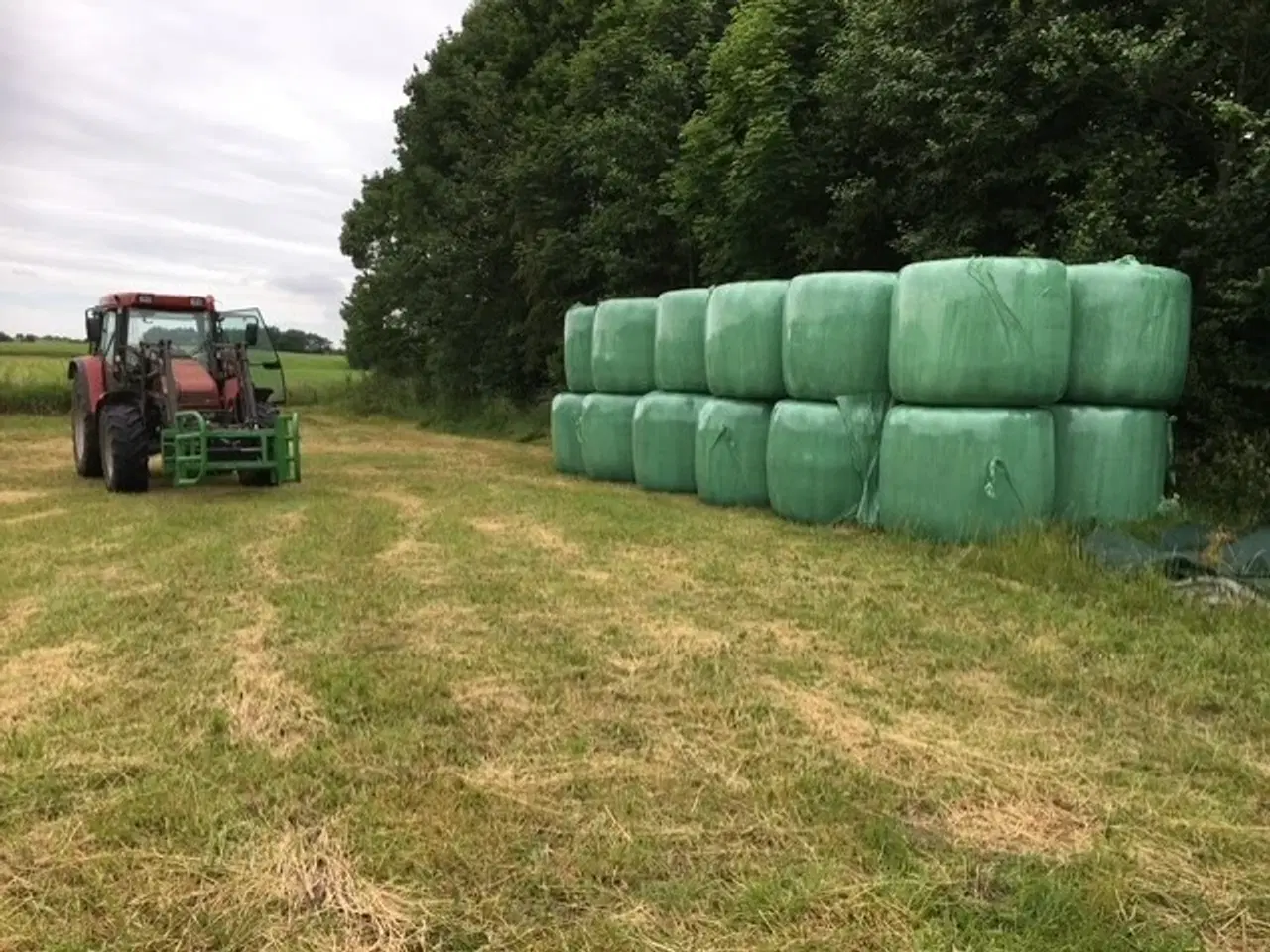 Billede 1 - Økologisk Wraphø