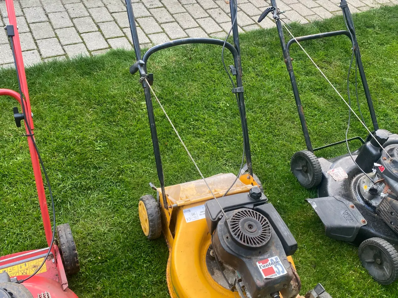 Billede 7 - Rotor plæneklipper 