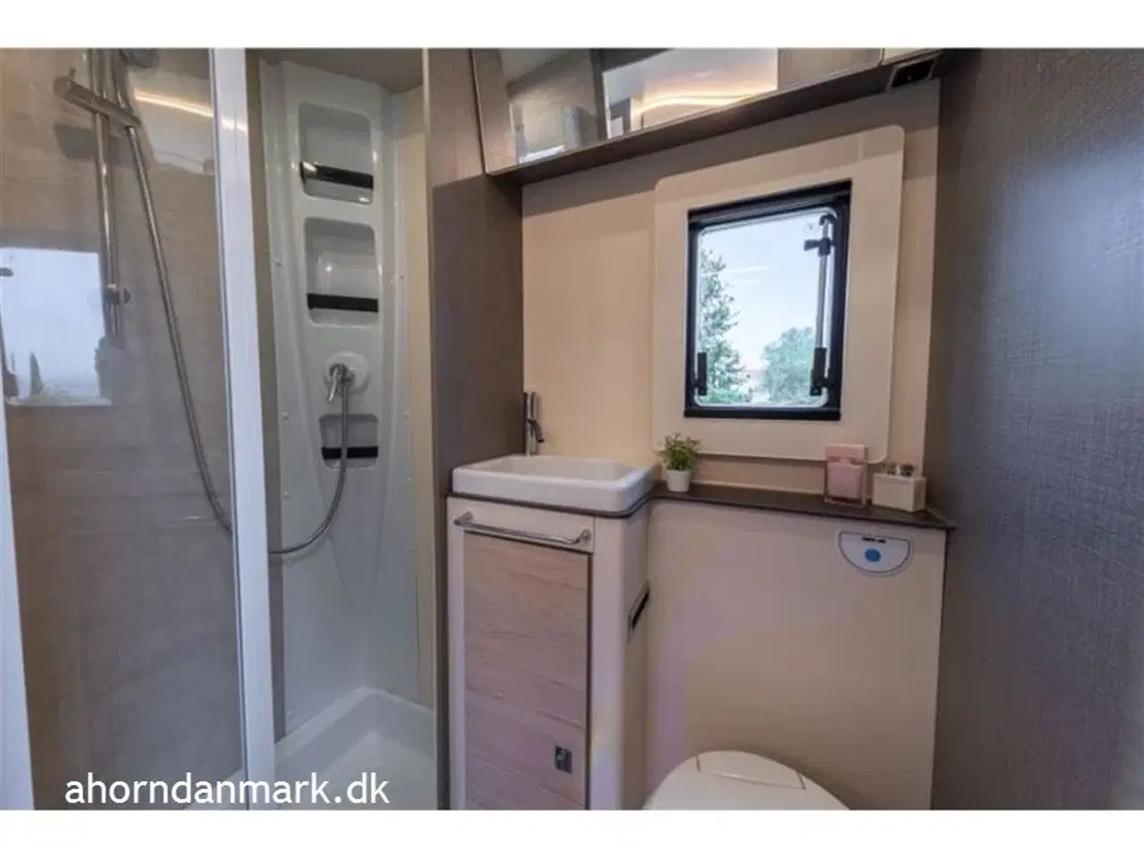 Billede 7 - 2025 - Ahorn Canada AE Canada AE 2024