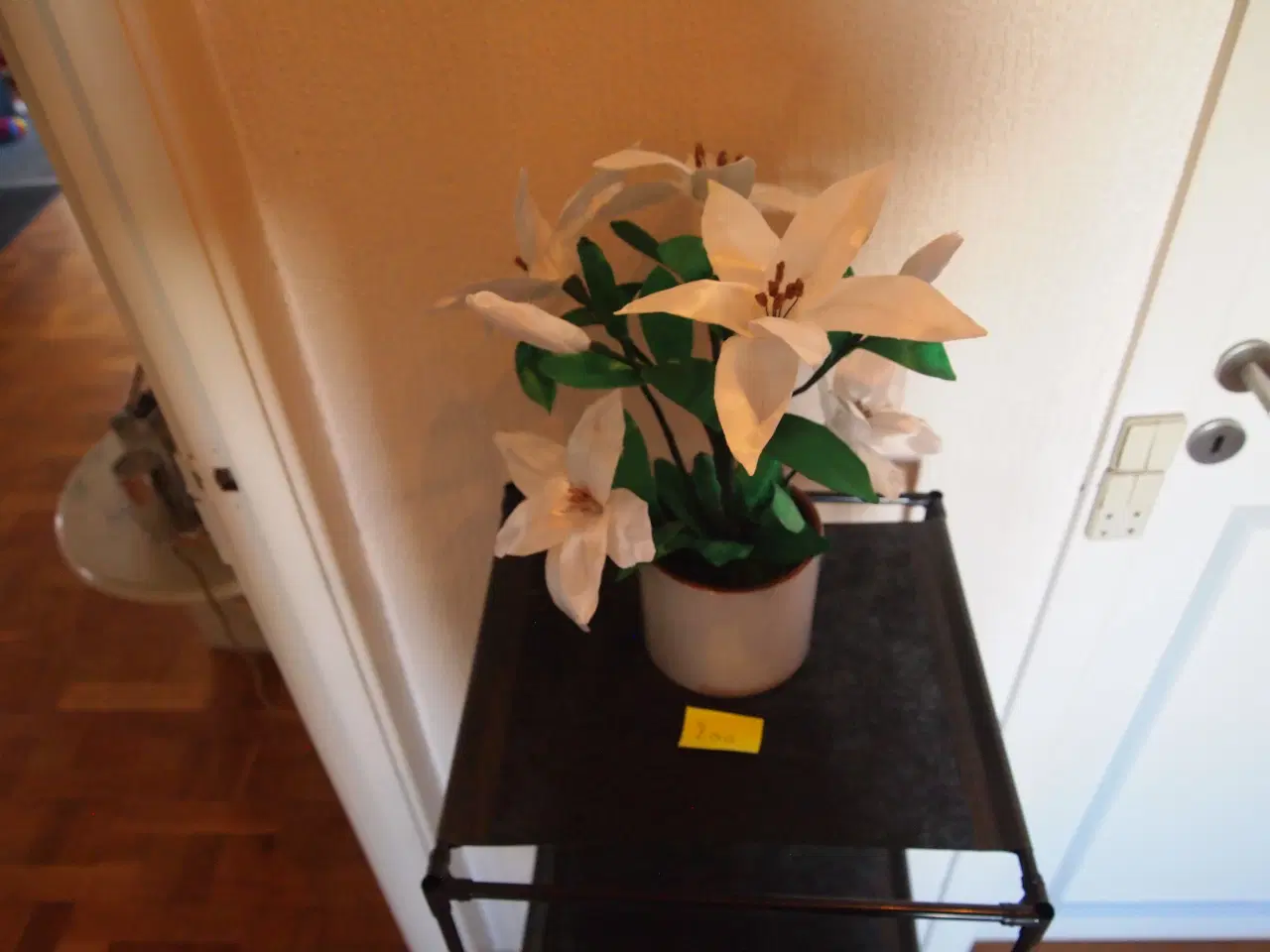 Billede 17 - evighedsblomster