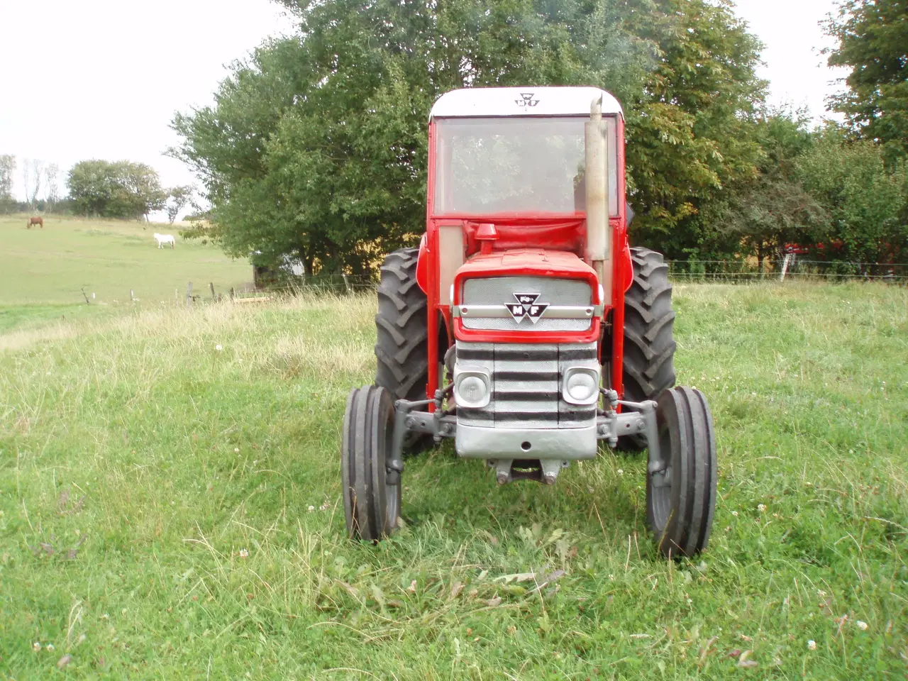 Billede 3 - Massey Ferguson 135, 3 cyl diesel