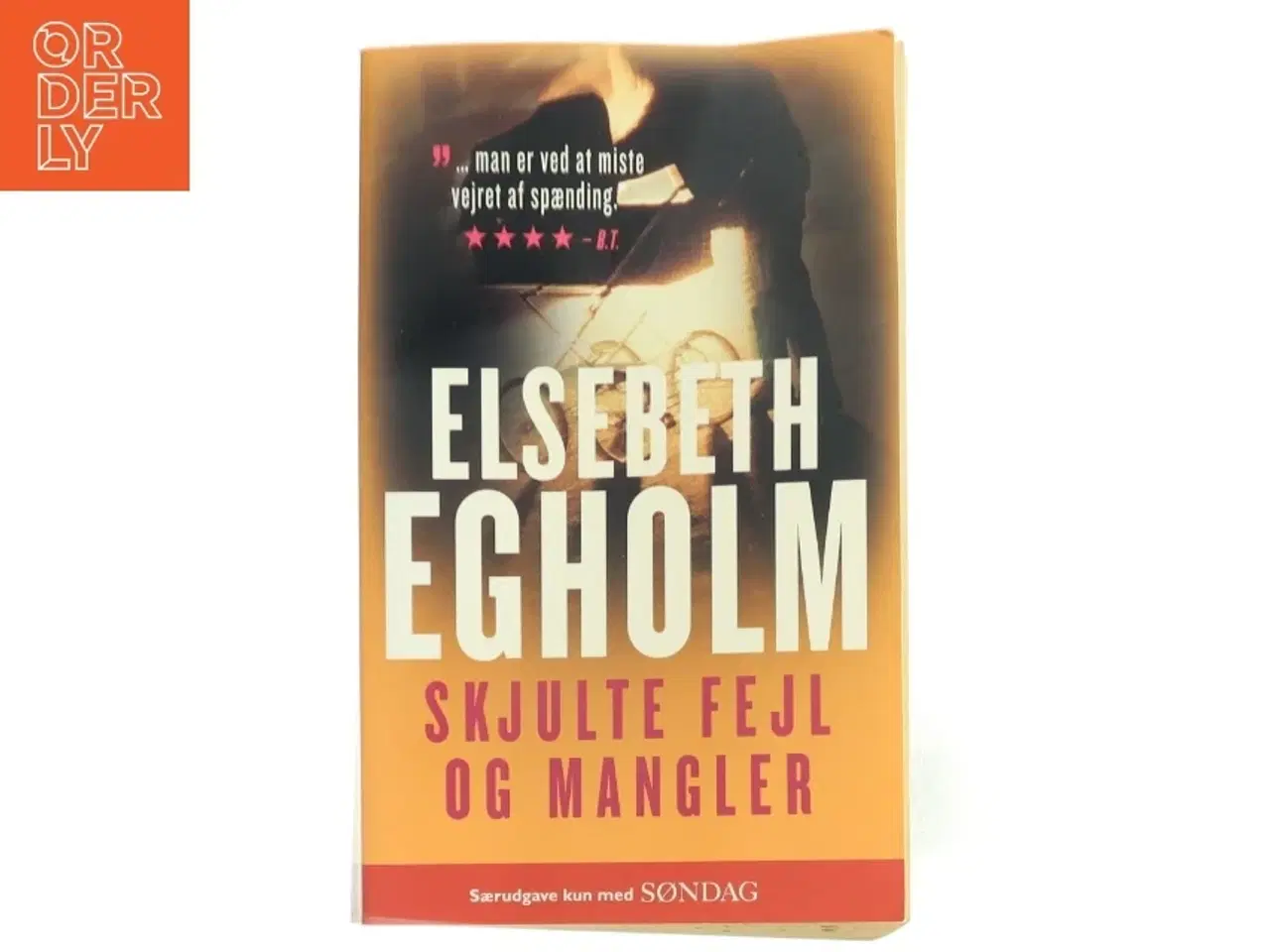 Billede 1 - Skjulte fejl og mangler af Elsebeth Egholm (Bog)