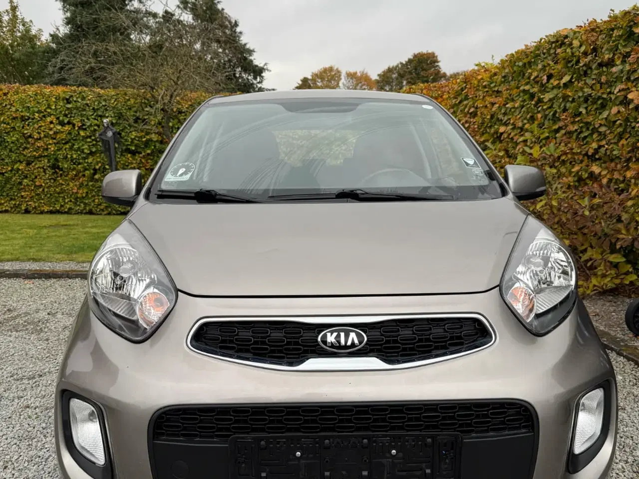 Billede 1 - Kia Picanto 1,0 km 55000