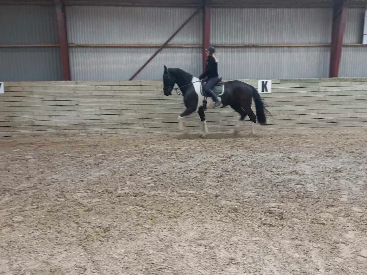 Billede 5 - Projekthest evt kun til arbejde fra jorden