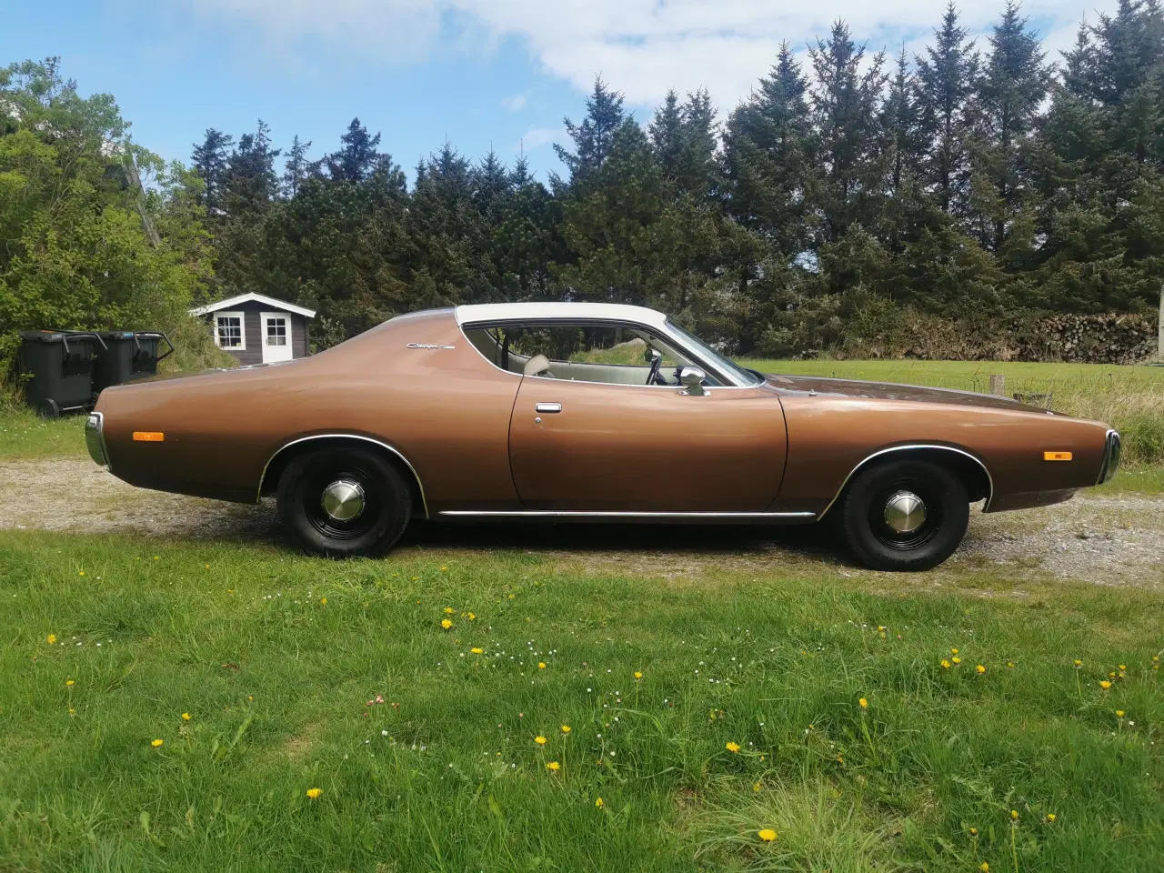Billede 6 - 1972 Dodge Charger