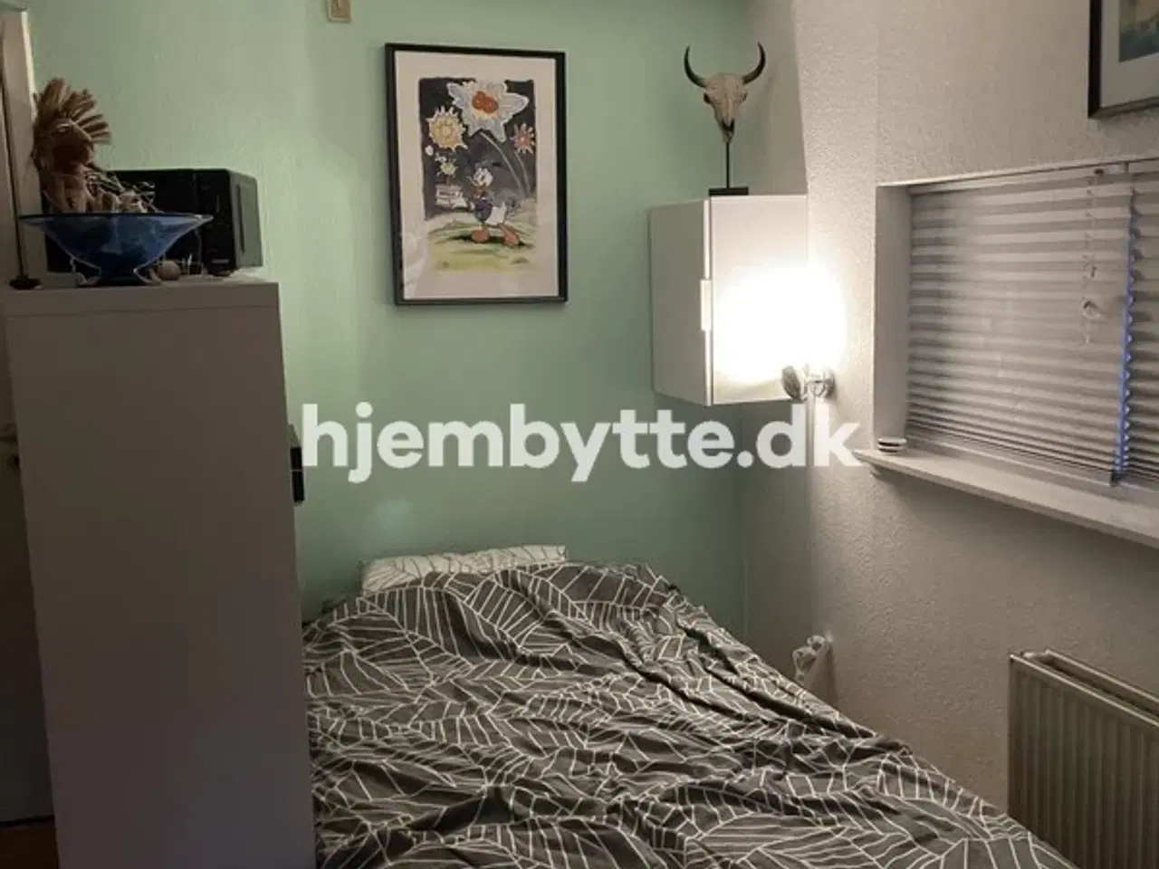 Billede 2 - Hjembytte - Timorvej