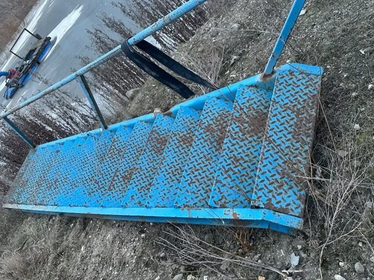 Billede 3 - Sandvik ryster 