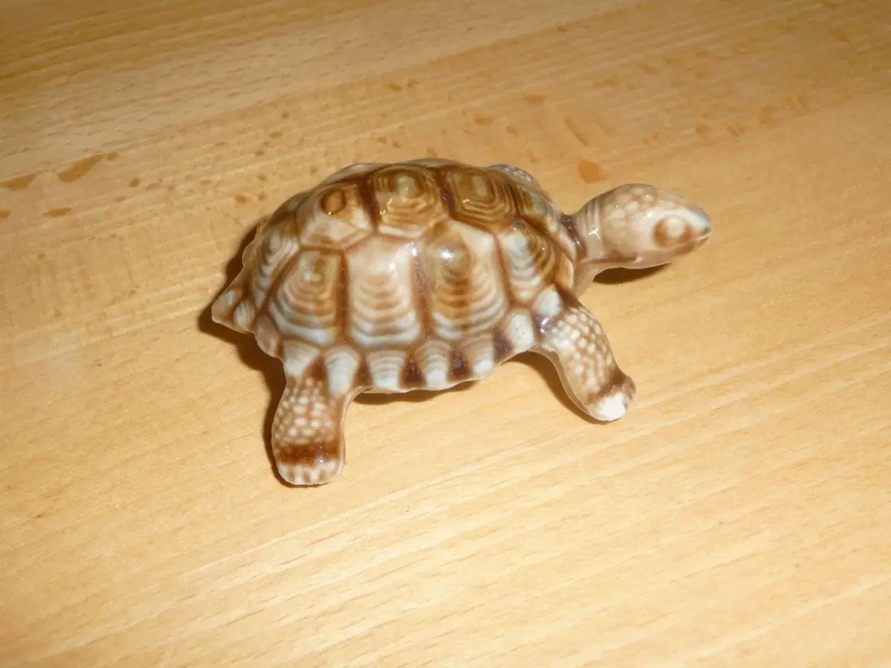 Billede 1 - porcelæns skildpadde fra England