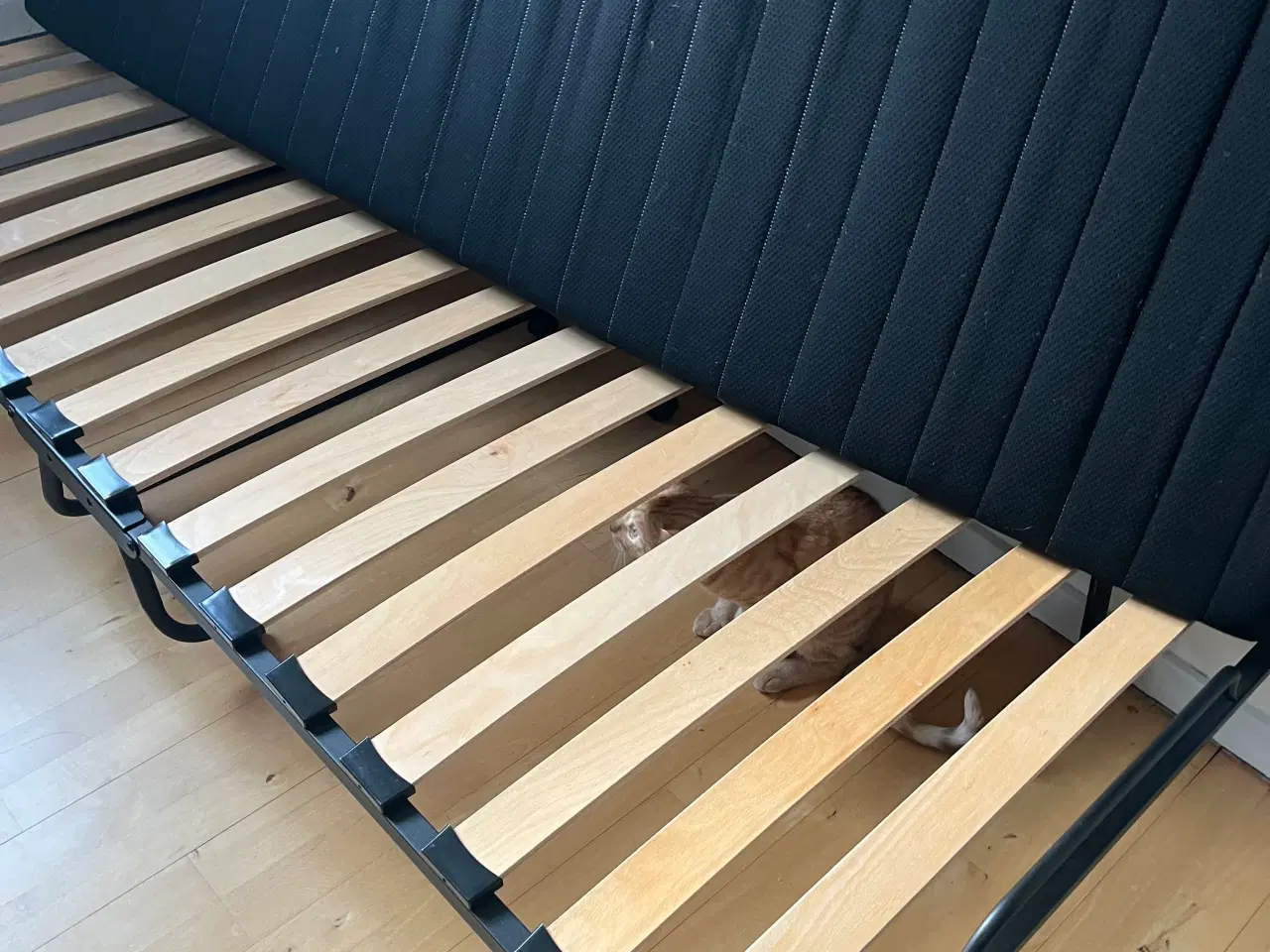 Billede 2 - Gæsteseng