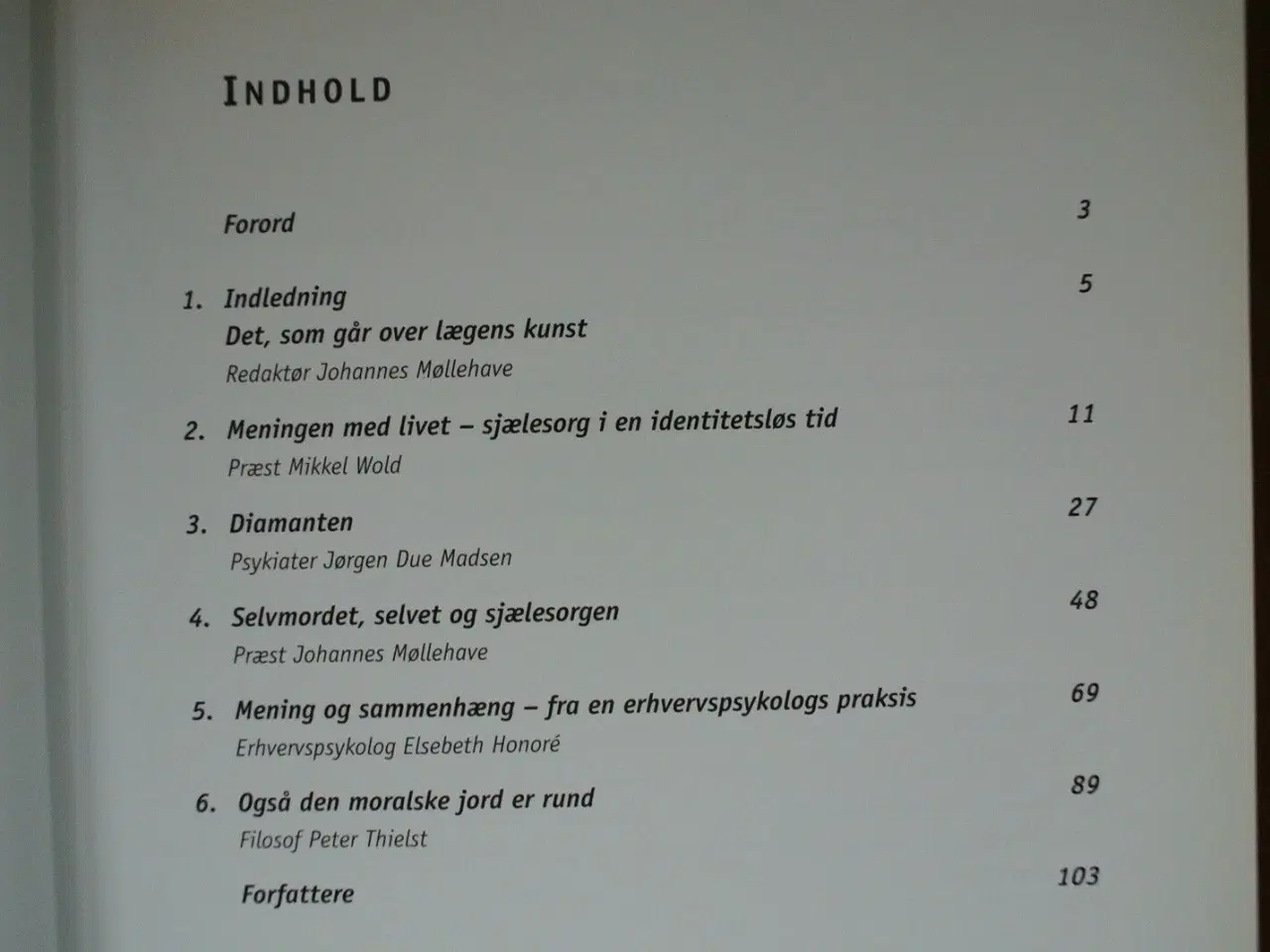 Billede 2 - mening, indsigt og medfølelse ud over lægens kunst