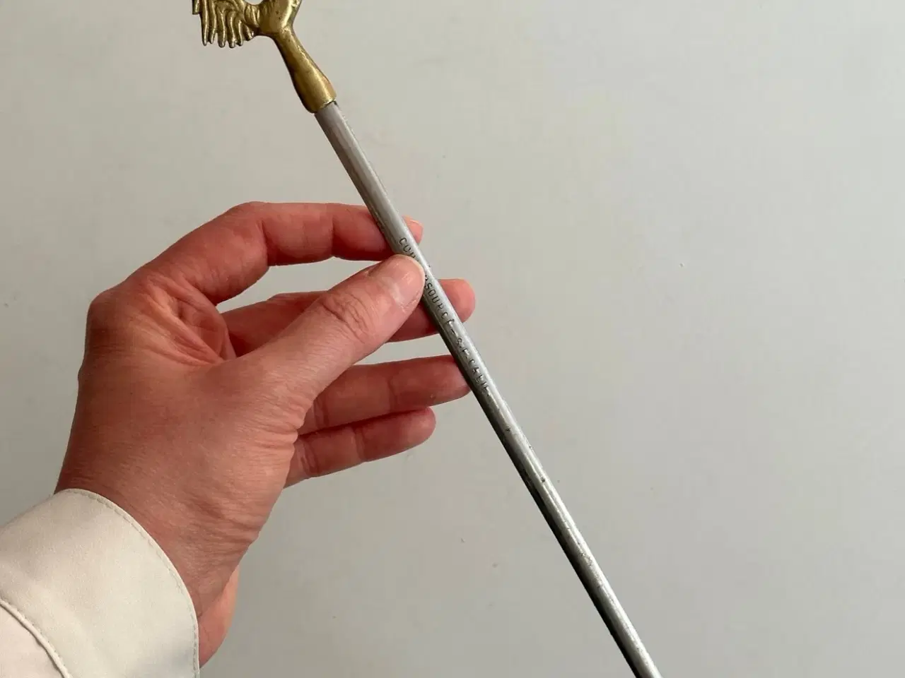 Billede 1 - Kødspyd, kylling