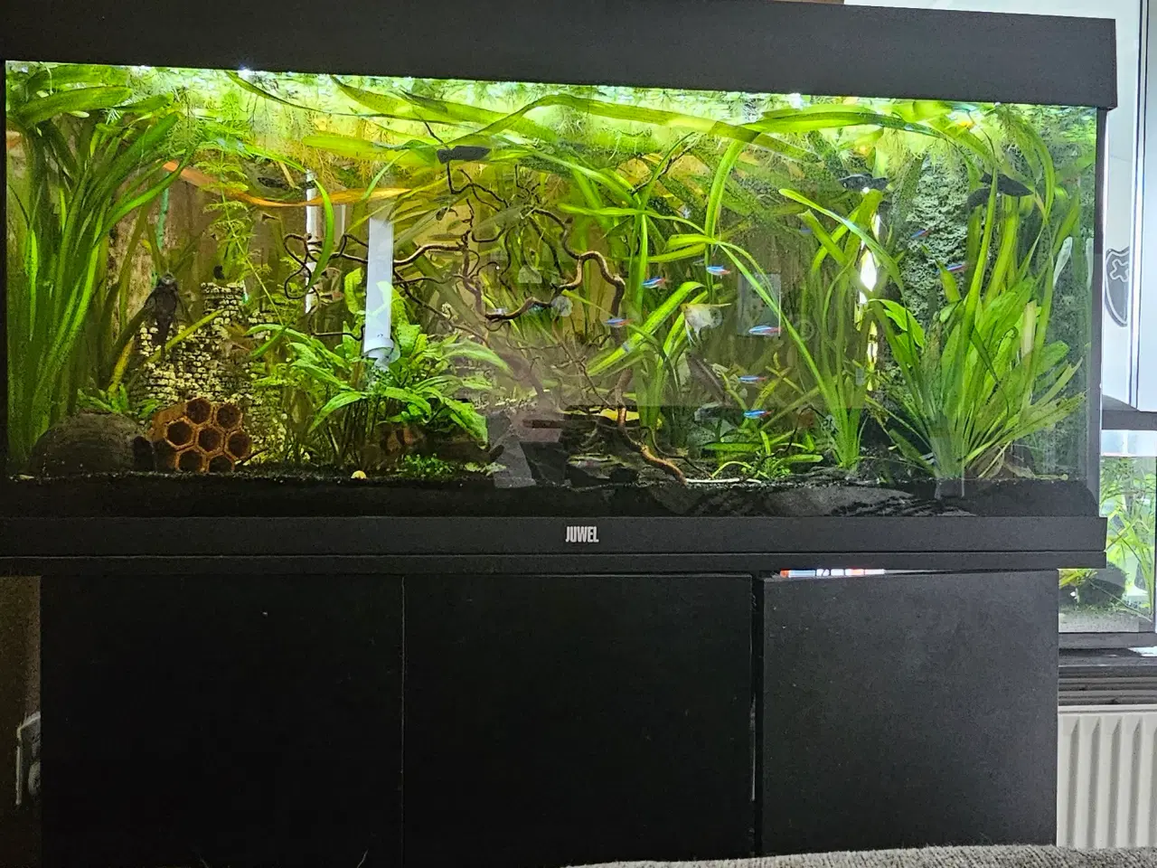 Billede 1 - Akvarie 180 liter